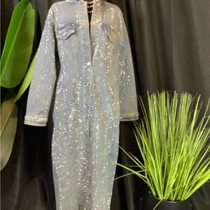 Women Pearl Embellished Denim Dress